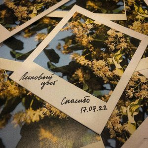 Липовый цвет