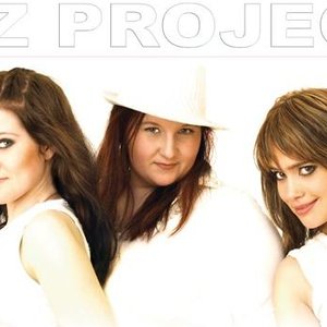 LIZ project