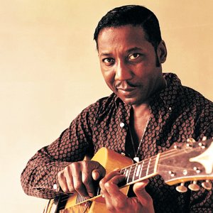 Muddy Waters