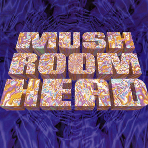 Casualties In B Minor