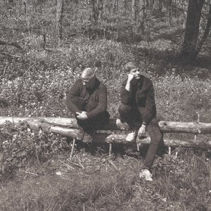 Ночь. Улица. Фонарь.