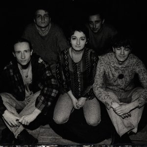 Очеретяний кварк