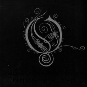 Patterns In The Ivy Ii