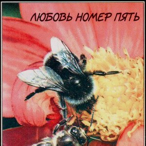 Оргазм не наступил
