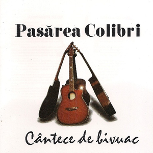 Pisica neagra