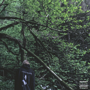 Давай останемся дома