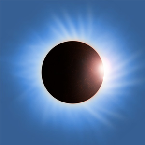 The Never-ending Why