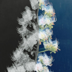 Проспекты лифты города