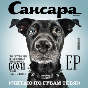 Стая летучих рыб