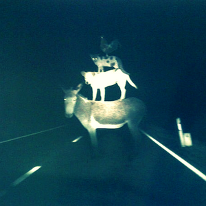 Нас не найдёт твой сутенёр