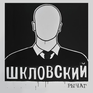 13 лет