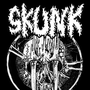 Skunk