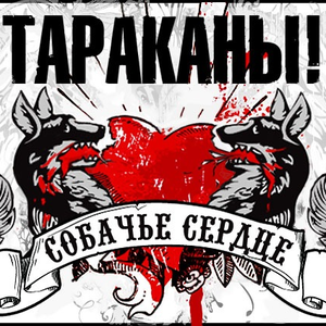 Крысиные гонки