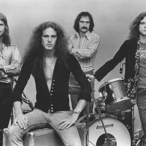The Amboy Dukes