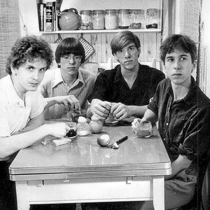 The Feelies