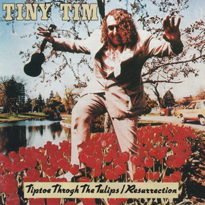 Tiptoe Through The Tulips