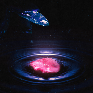 Последний лепесток