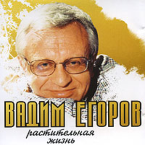 Монолог дочери