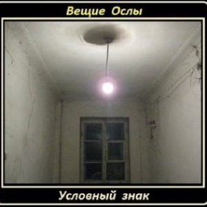 Маленький мой друг