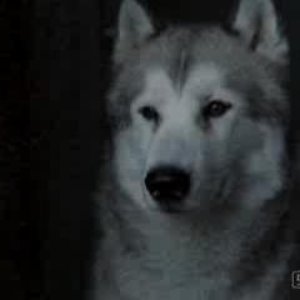 Вячеслав Клименков