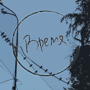 Дельфины