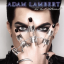 Обложка песни Adam Lambert - Down The Rabbit Hole аккорды