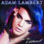 Обложка песни Adam Lambert - For Your Entertainment аккорды