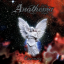 Обложка песни Anathema - Ascension аккорды
