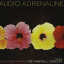 Обложка песни Audio Adrenaline - Beautiful аккорды