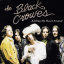 Обложка песни Black Crowes - Kicking My Heart Around аккорды