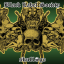 Обложка песни Black Label Society - 13 Years Of Grief аккорды