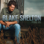 Обложка песни Blake Shelton - Don't Make Me аккорды
