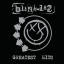 Обложка песни Blink 182 - Another Girl Another Planet аккорды