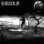 Обложка песни Burzum - Feeble Screams From Forests Unknown аккорды