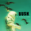 Обложка песни Bush - Jesus Online аккорды
