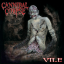 Обложка песни Cannibal Corpse - Devoured By Vermin аккорды