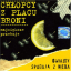 Обложка песни Chłopcy z Placu Broni - Jezioro szczescia аккорды