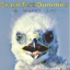 Обложка песни Crash Test Dummies - My Own Sunrise аккорды