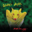 Обложка песни Guano Apes - We Use The Pain аккорды