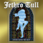 Обложка песни Jethro Tull - Roots To Branches аккорды