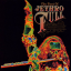 Обложка песни Jethro Tull - Too Old To Rock And Roll аккорды