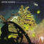 Обложка песни Jupiter Sunrise - Kaye аккорды