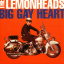 Обложка песни Lemonheads - He's on the beach аккорды