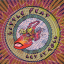 Обложка песни Little Feat - Voices On The Wind аккорды