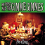 Обложка песни Me First And The Gimme Gimmes - I Sing The Body Electric аккорды