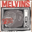 Обложка песни Melvins - Lysol аккорды