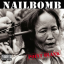 Обложка песни Nailbomb - Blind And Lost аккорды