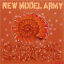 Обложка песни New Model Army - Sleepwalking аккорды