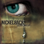 Обложка песни Nickelback - Never Again аккорды