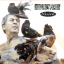 Обложка песни Our Lady Peace - The Birdman аккорды